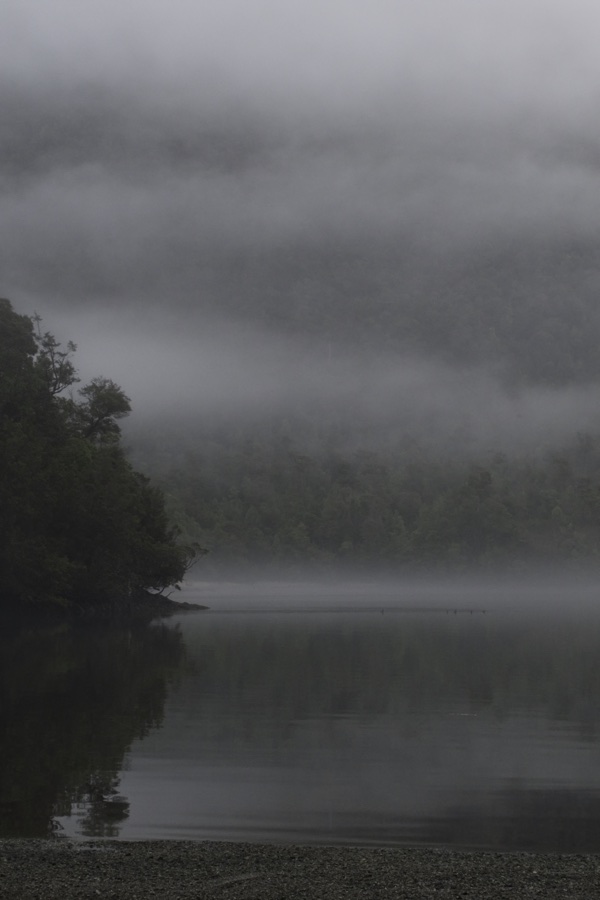 Fog banked over a still channel and forested shoreline in the fjords of Chilean Patagonia