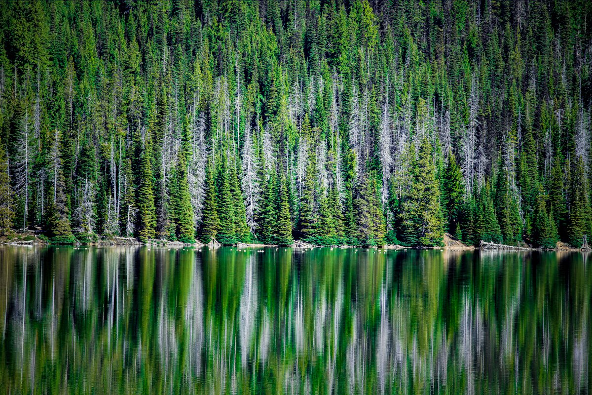 Sparks Lake landscape